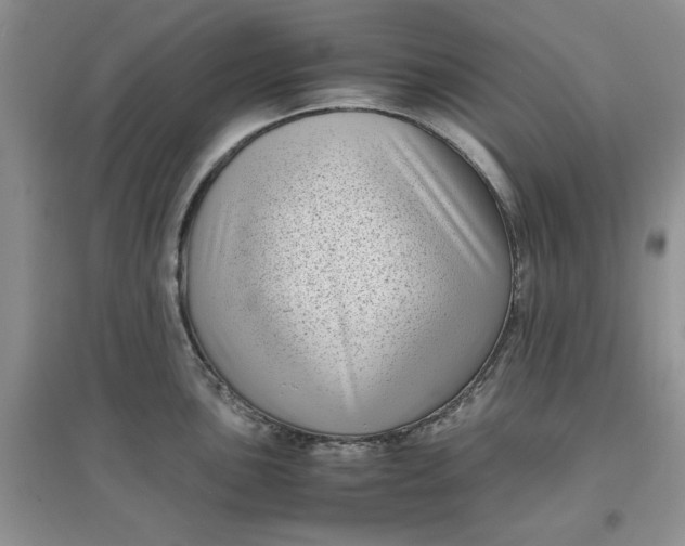 X0000097641051200803142042