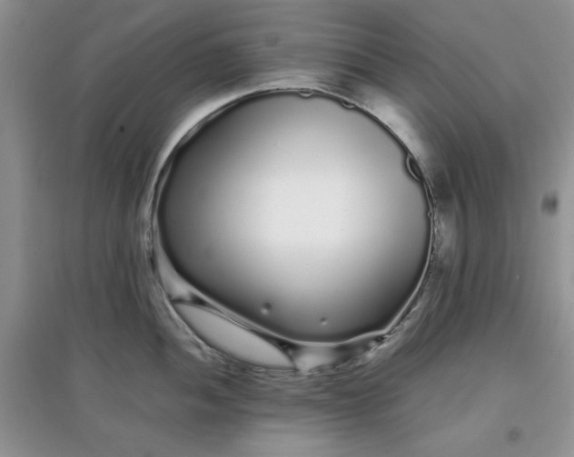 X0000097641052200803142042