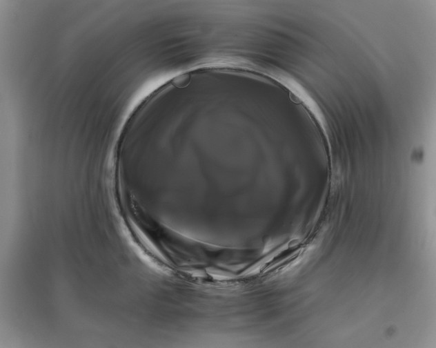 X0000097641053200803142042