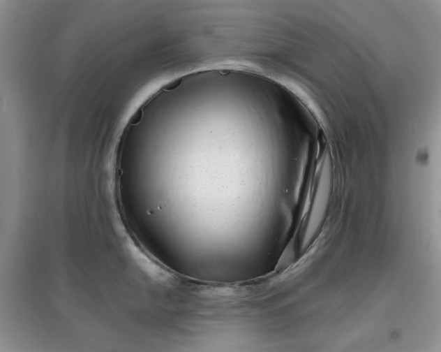 X0000097641054200803142042