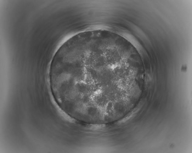 X0000097641055200803142042