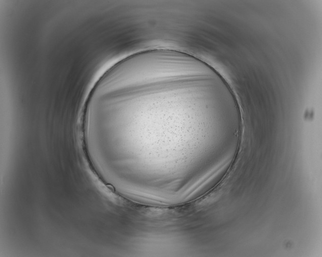 X0000097641056200803142042