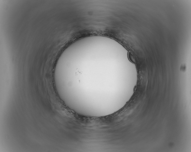 X0000097641057200803142042