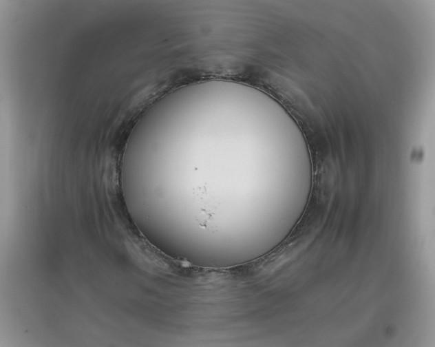 X0000097641058200803142042