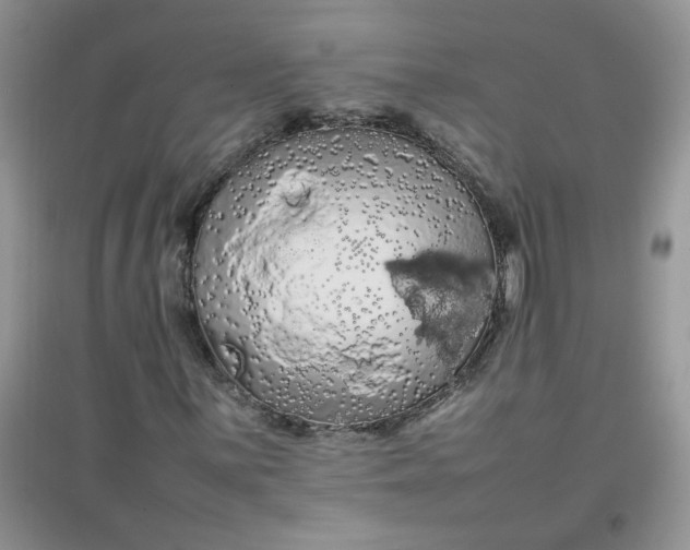 X0000097641059200803142042