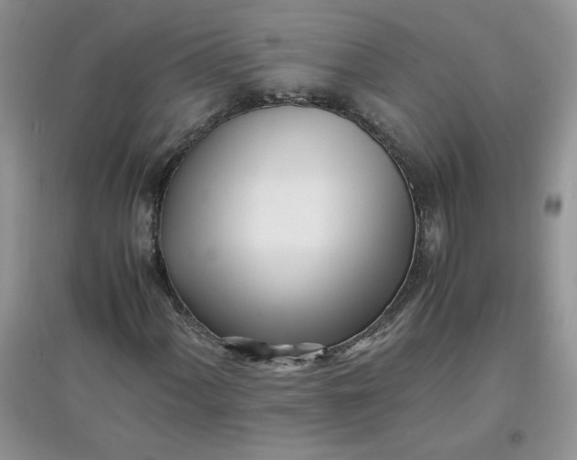 X0000097641060200803142042