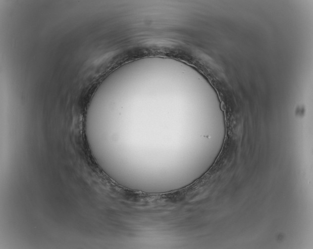 X0000097641061200803142041