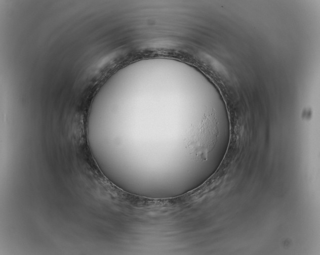 X0000097641062200803142041