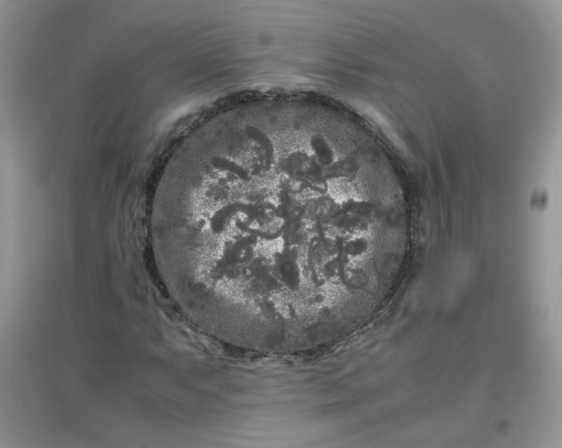 X0000097641063200803142041