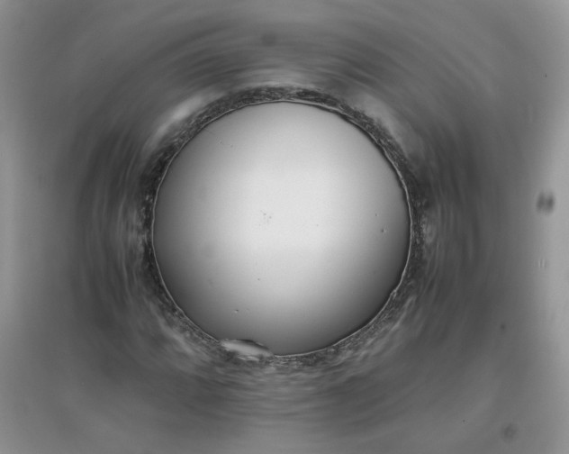 X0000097641064200803142041