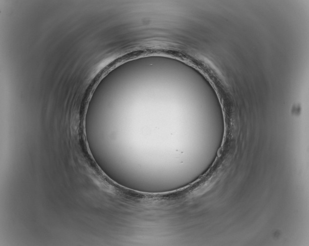 X0000097641065200803142041