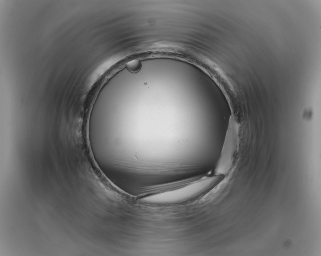 X0000097641066200803142041