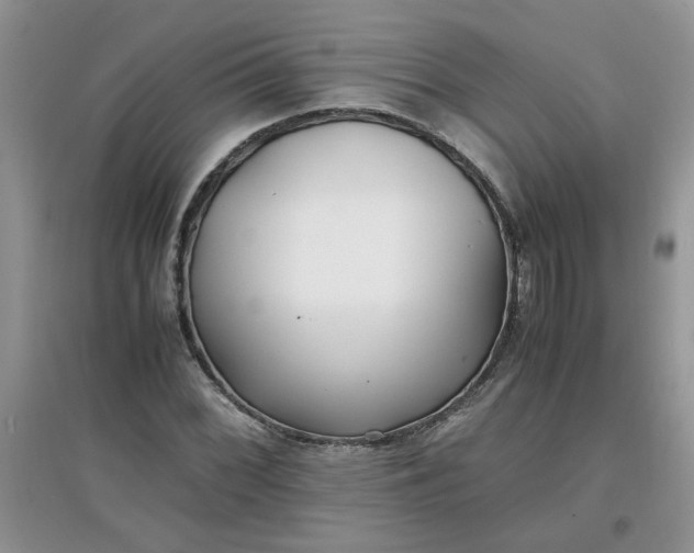 X0000097641068200803142041