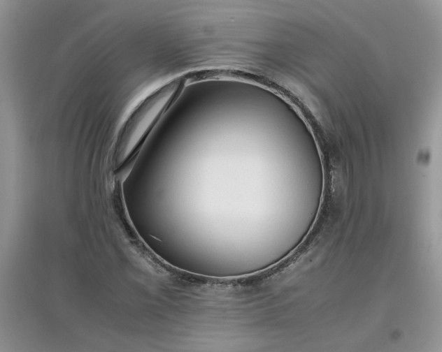 X0000097641069200803142041