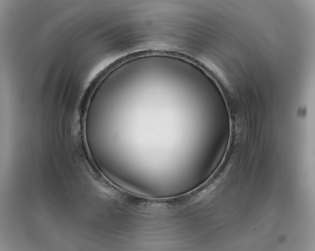 X0000097641070200803142041