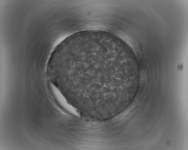 X0000097641071200803142041