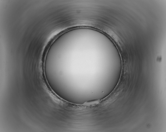 X0000097641072200803142041