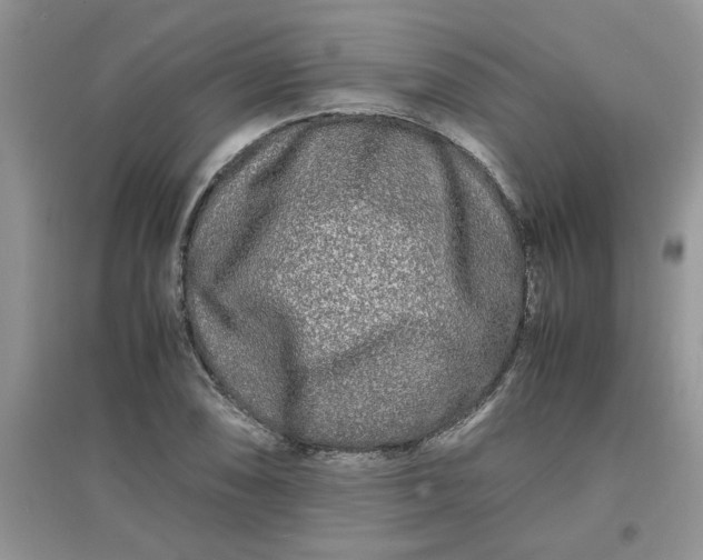 X0000097641074200803142041