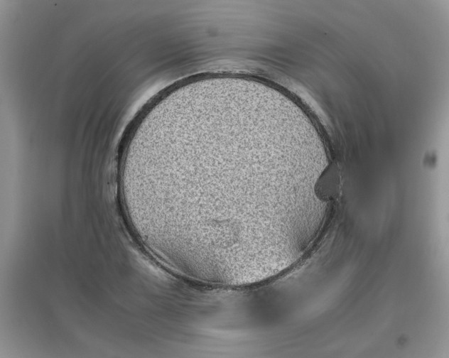 X0000097641075200803142041