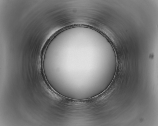 X0000097641076200803142041