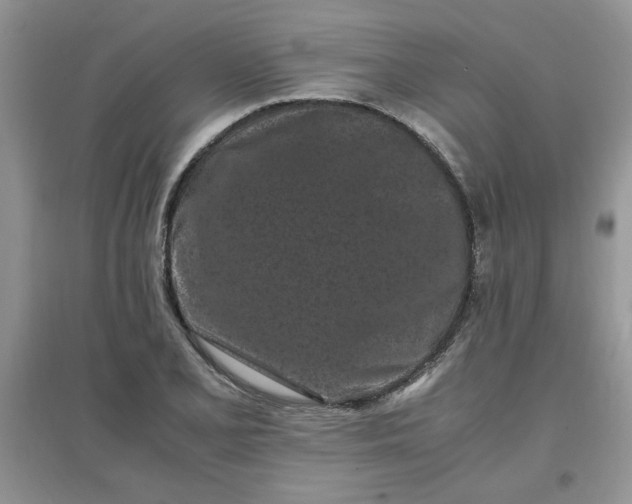 X0000097641077200803142041