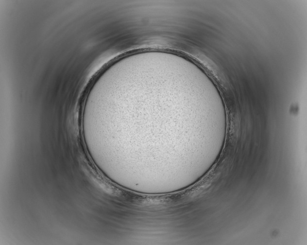 X0000097641078200803142041