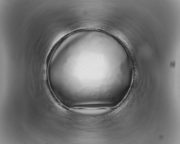 X0000097641079200803142041