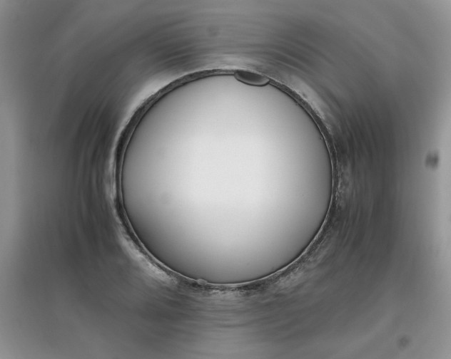 X0000097641080200803142041