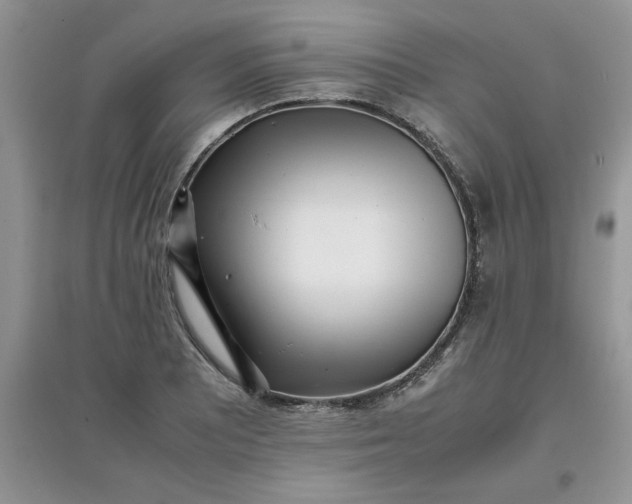 X0000097641081200803142041