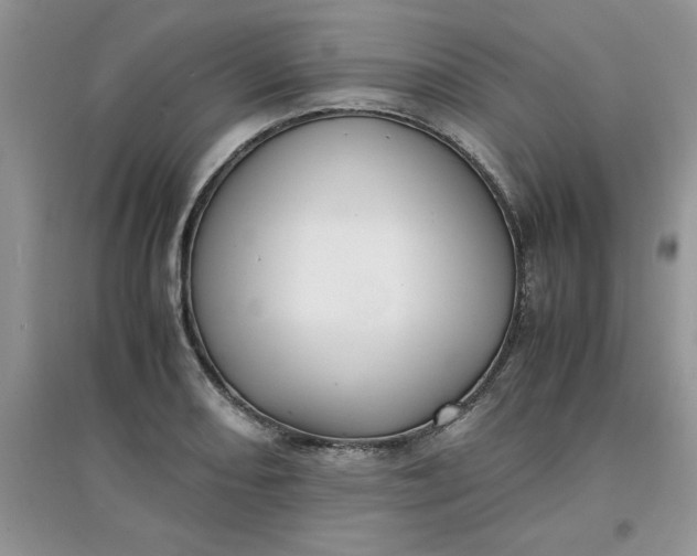 X0000097641082200803142041