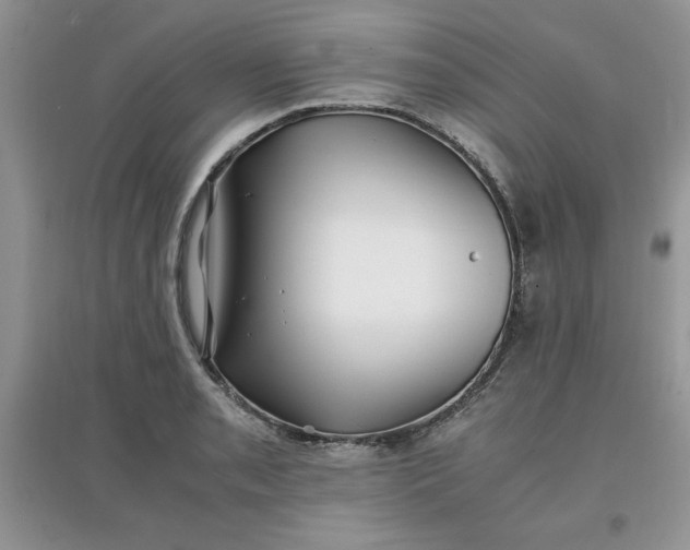 X0000097641085200803142041