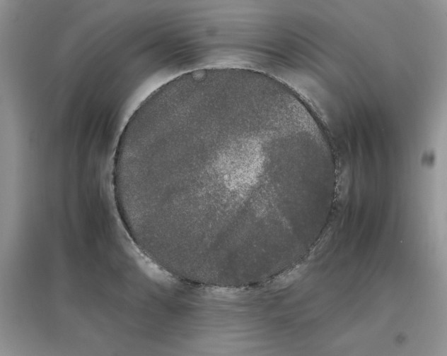 X0000097641086200803142041