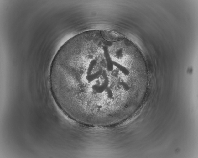 X0000097641087200803142041