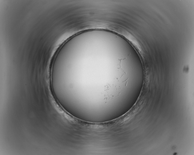 X0000097641088200803142041