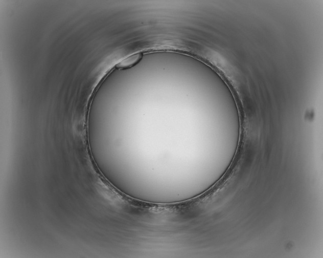 X0000097641089200803142041