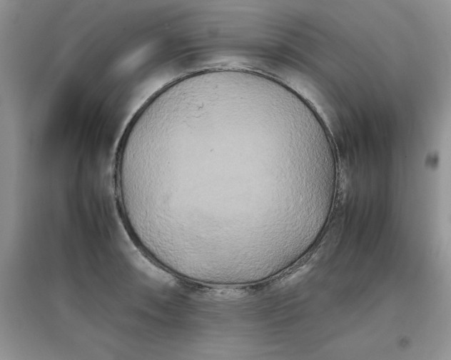 X0000097641090200803142041