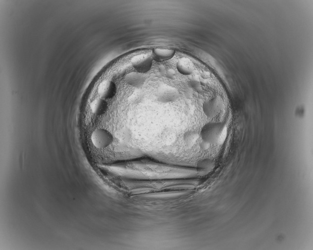 X0000097641091200803142041