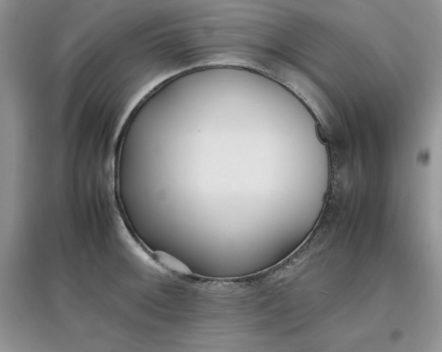 X0000097641092200803142041