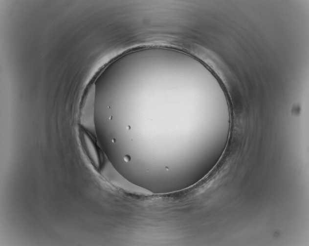 X0000097641093200803142041