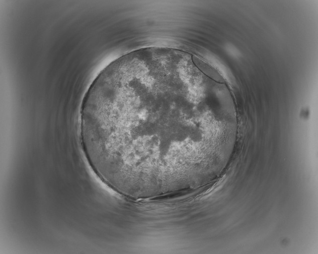 X0000097641095200803142041