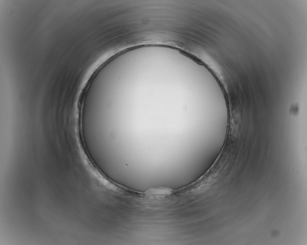 X0000097641096200803142041