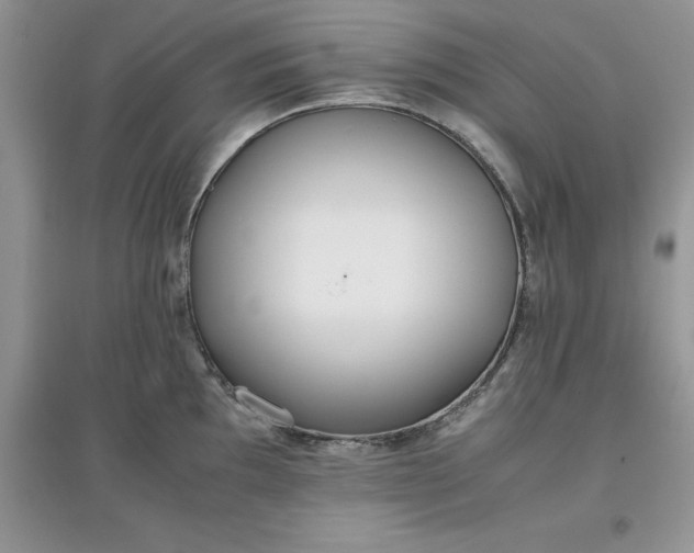 X0000097641097200803142041