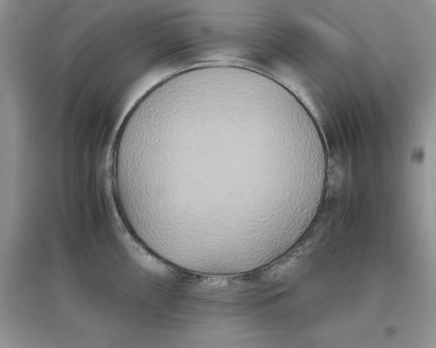 X0000097641098200803142041