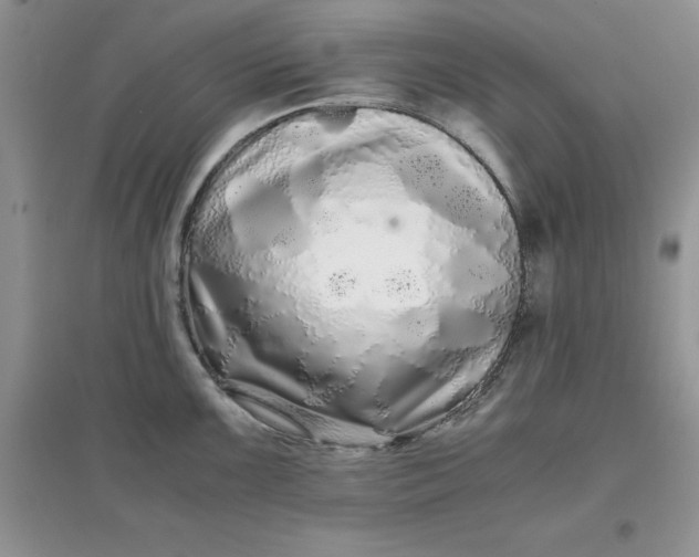 X0000097641099200803142041