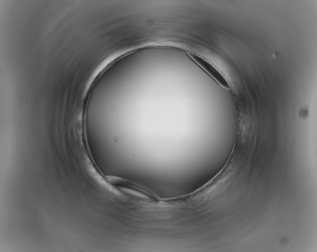 X0000097641100200803142041