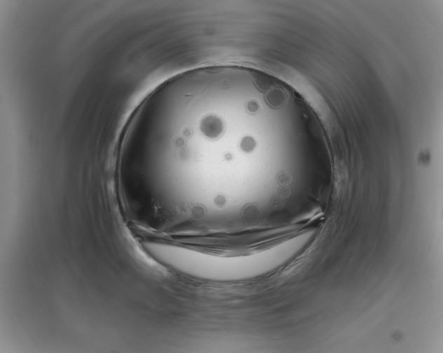 X0000097641102200803142041