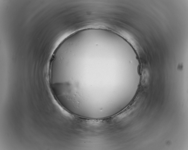 X0000097641103200803142041