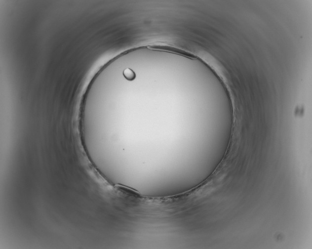 X0000097641104200803142041