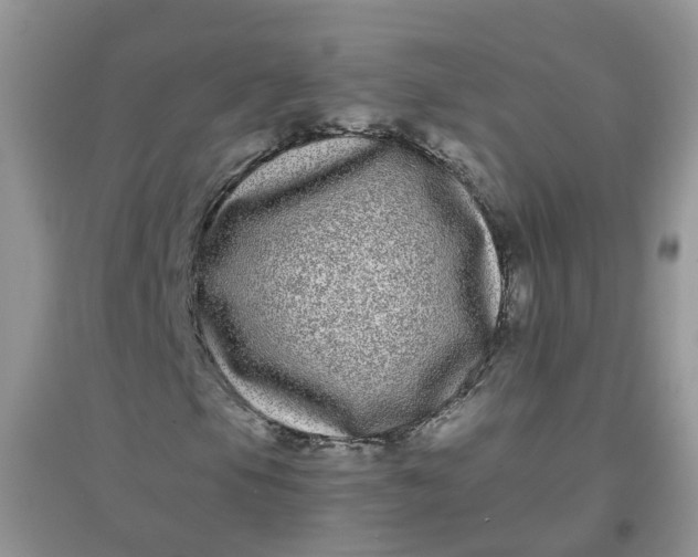 X0000097641105200803142040