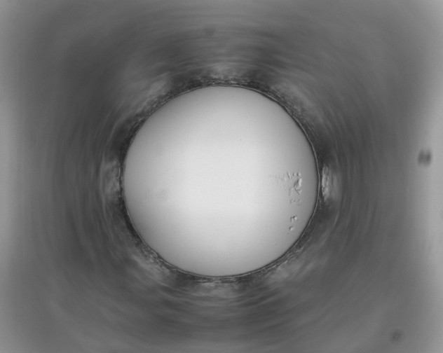 X0000097641107200803142040